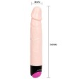 BAILE - COLORFUL SEX VIBRATION AND ROTATION 24 CM BAILE - COLORFUL SEX VIBRATION AND ROTATION 24 CM