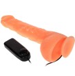 BAILE - PENIS VIBRATION DILDO WITH VIBRATION REALISTIC SENSATION BAILE - PENIS VIBRATION DILDO WITH VIBRATION REALISTIC SENSATION