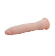 BAILE - FIT REALISTIC TPR VERTEBRATE 20.1 CM BAILE - FIT REALISTIC TPR VERTEBRATE 20.1 CM